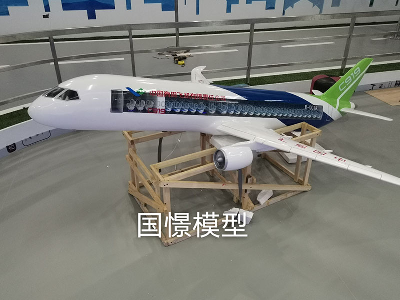 福鼎市飞机模型